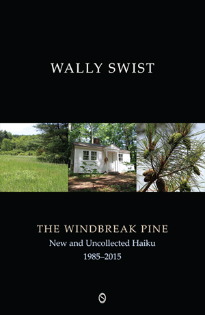 The Windbreak Pine