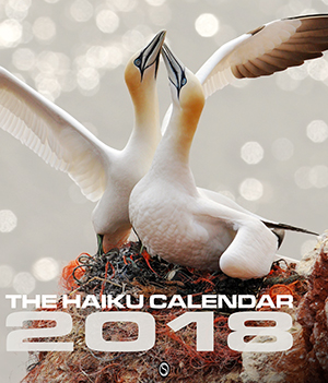 The Haiku Calendar 2018