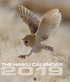 The Haiku Calendar 2019