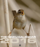 The Haiku Calendar 2016